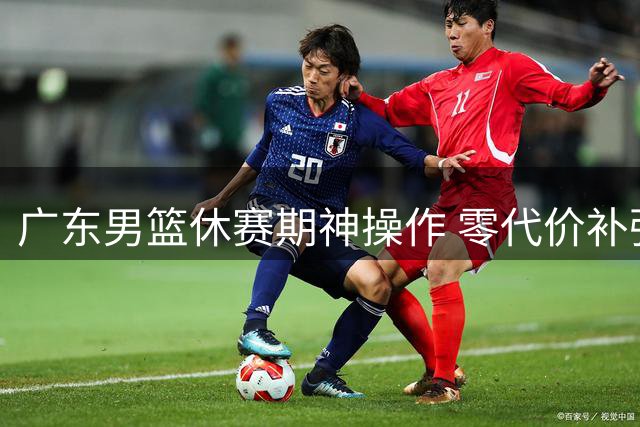 广东男篮休赛期神操作 零代价补强内线剑指总决
